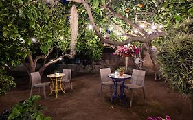 Lauricella Bed And Breakfast